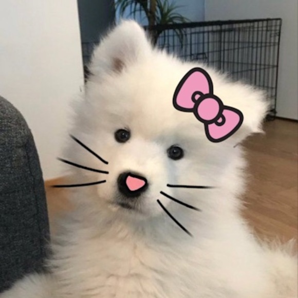 Meet your Posher, Leah - Picture 1 of 1